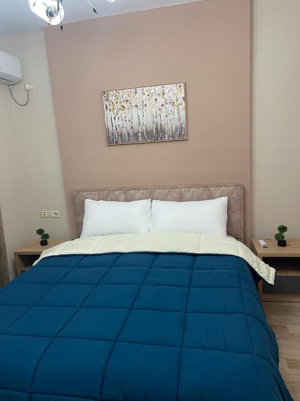 Comfort Apartment City Center Tirana Zewnętrze zdjęcie